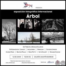 ÁRBOL - Exposición fotográfica internacional - Miércoles 14 de Junio de 2017